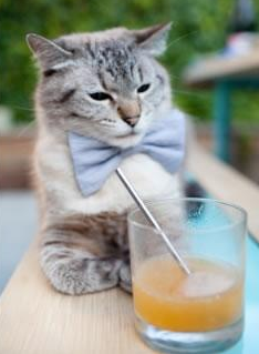 开云体育官网登入-_全民蜂腰跑：运动与时尚的完美结合_，蜂腰什么意思