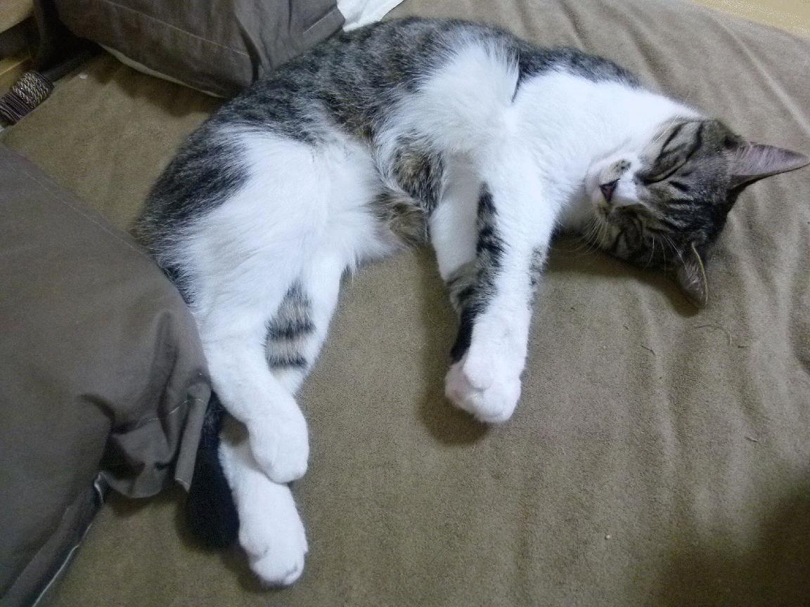 开云体育在线登入-“逆风翻盘：令人热血沸腾的经典逆袭”，逆风翻盘的典故