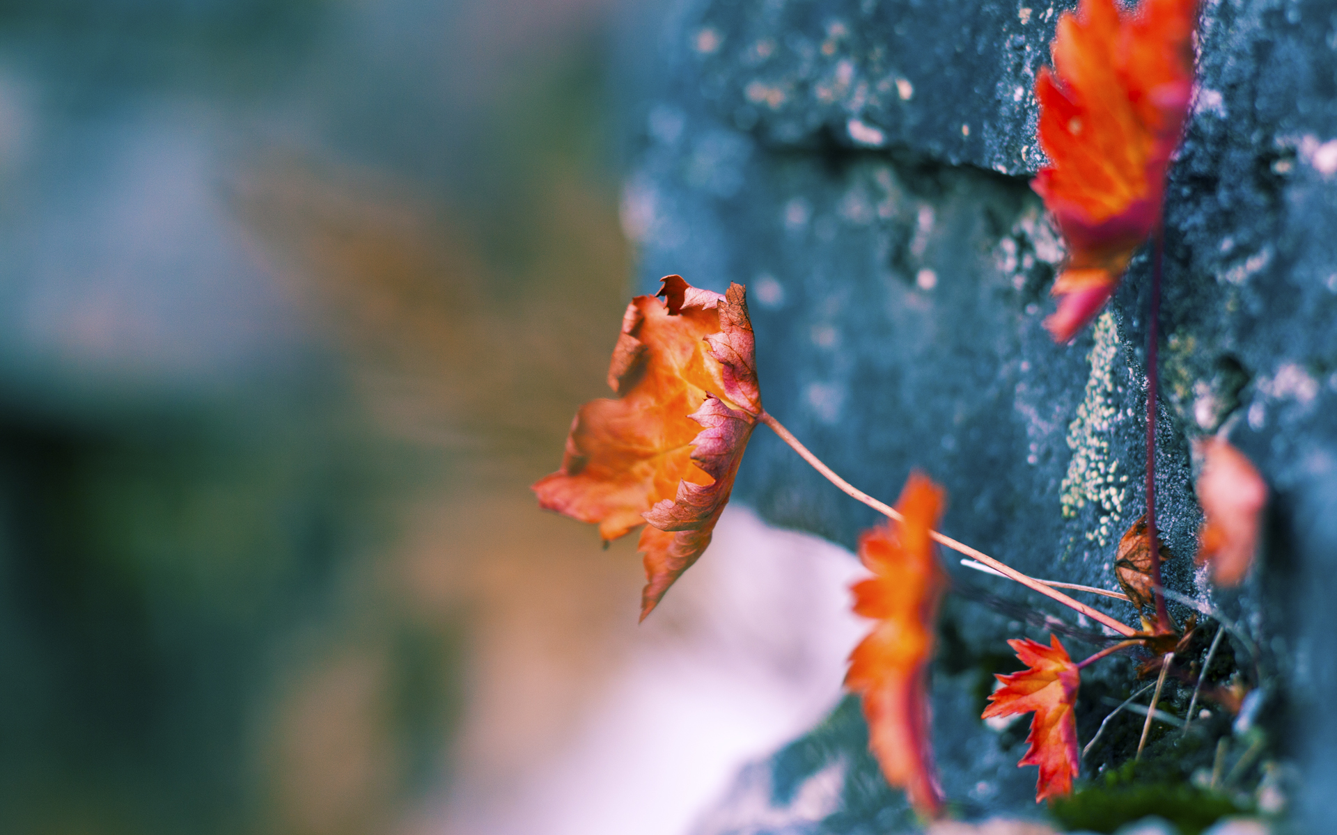 开云全站下载-【比赛分析】奥沙利文：如何利用罚分扰乱对手节奏？，奥沙利文比赛练球