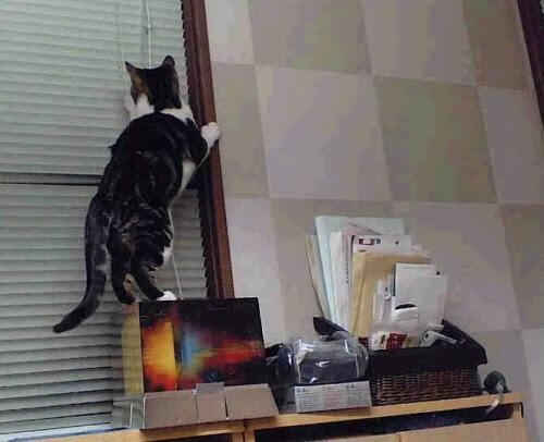 开云体育登录网站入口-探秘欧冠“神秘”战术：球队为何总能逆转？，欧冠为什么扩军